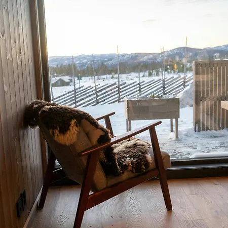 Family In Hallingdal Ideal For Skiing Flå