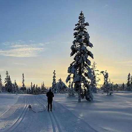 Casa vacanze Family In Hallingdal Ideal For Skiing Flå