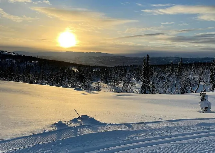 Familiehytte I Hallingdal Med Ski- & Turmuligheter * Flå