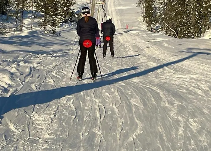 Ferienhaus Familiehytte I Hallingdal Med Ski- & Turmuligheter