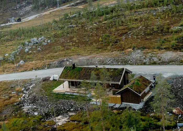 Familiehytte I Hallingdal Med Ski- & Turmuligheter * Flå