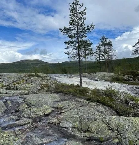 Ferienhaus Familiehytte I Hallingdal Med Ski- & Turmuligheter