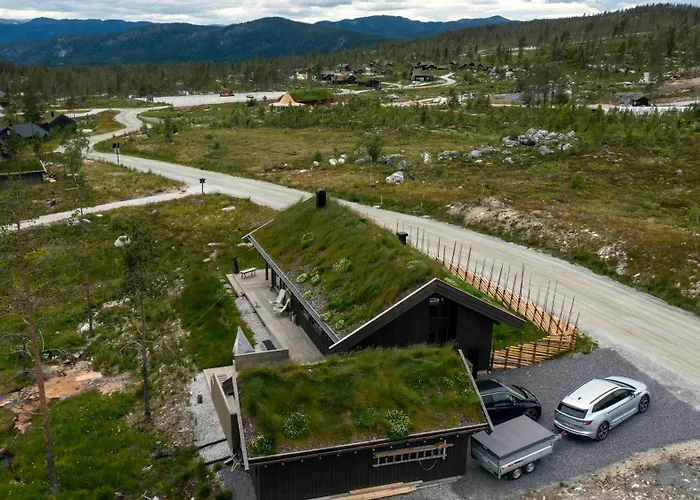 Familiehytte I Hallingdal Med Ski- & Turmuligheter * Flå