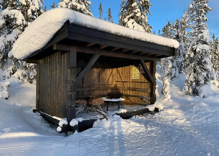 Ferienhaus Familiehytte I Hallingdal Med Ski- & Turmuligheter Flå