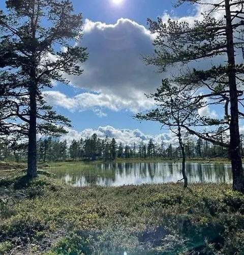 Family In Hallingdal Ideal For Skiing Casa de Férias *