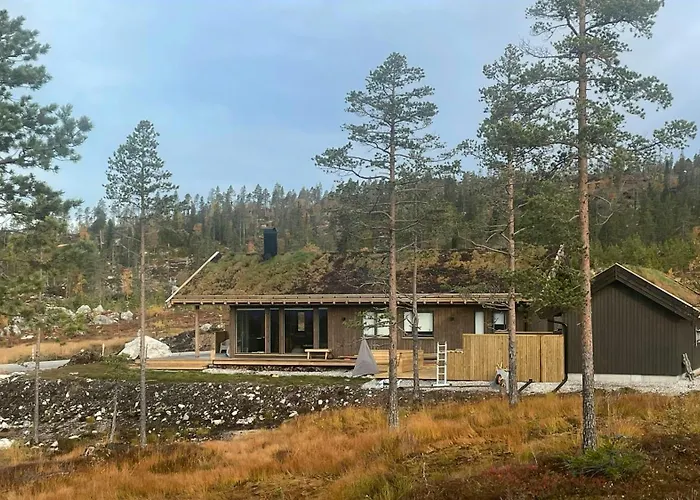 Familiehytte I Hallingdal Med Ski- & Turmuligheter * Flå